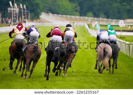 fast horse race on race track