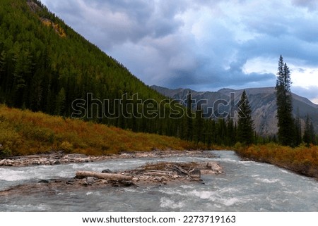 Fast mountain river Shavla with a small stone island in a mountain valley on a rainy evening.