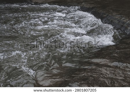Fast moving and flowing river, powerful stream running through the woods