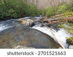 Fast Moving Stream Flowing Through a Rhododendron Forest in the Great Smoky Mountains in North Carolina
