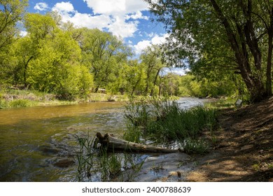 A fast moving stream with rocks and rapids on the Front Range of Colorado.  Green grass with flowers and tree limbs with smooth water in motion blur.   - Powered by Shutterstock