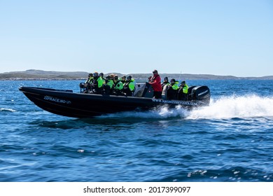 Fast Rib Boat Tours, Are A Very Popular Activity For Tourists In Norway. Frøya, Norway, 07.30.2021