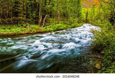 Fast river flow in the forest. The river descends rapidly. The river current were too strong. Flow of the river