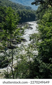 fast river flows in the forest between rocks nature travel hiking