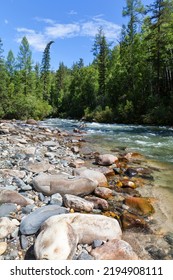 Fast river with stone channel, clear blue water and green forest along banks on sunny day. Beautiful summer landscape. Natural background. Ehe-Ukhgun river, Nilovka, Tunka foothill valley, Buryatia