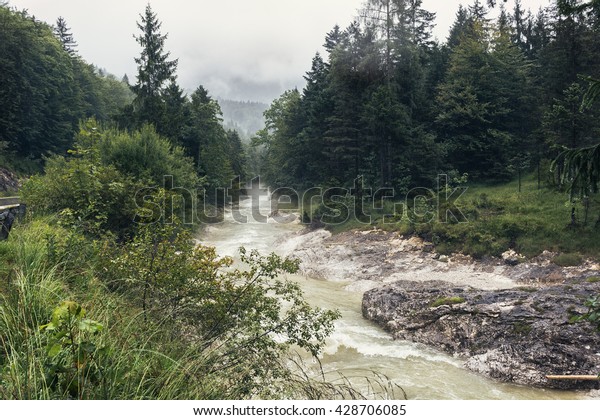 雨の日に山林に川が流れる 森の自然の中の美しい川 山川は曇った森を通る オーストリアの山々の自然の自然 緑の森の中の川嵐 の写真素材 今すぐ編集