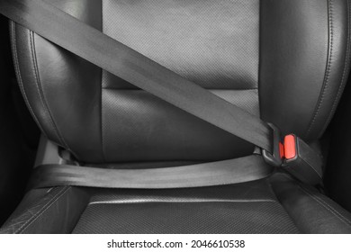 Fastened seat belt in car