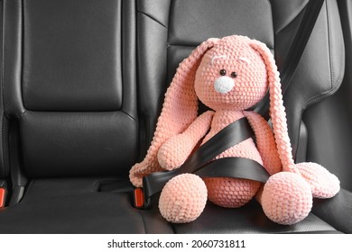 Fastened Toy Bunny Sitting In Car