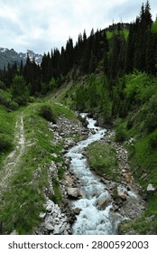 A fast-flowing mountain stream runs through a rocky channel in a lush green valley, surrounded by dense pine forests under a cloudy sky. Ideal for travel blogging, environmental marketing, and tourism design.