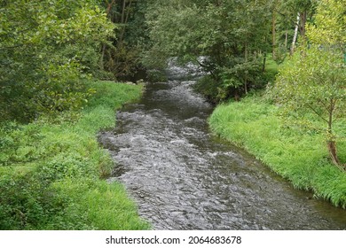 A Fast-streaming Creek In Green Woody Terrain
