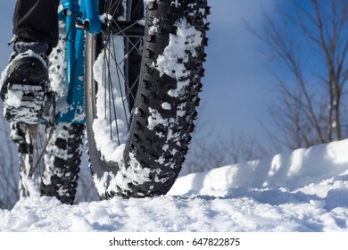 Fat Bike Tire On A Snowshoe Trail During Winter In Canada