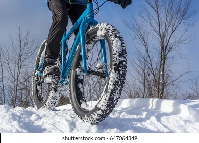 Fat Biking On A Winter Trail