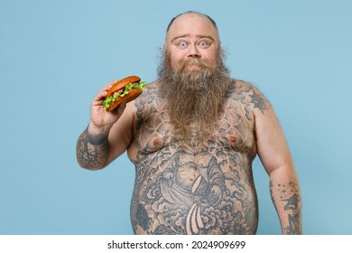 Fat Pudge Obese Chubby Overweight Man Has Tattooed Naked Bare Big Belly Hold American Classic Fast Food Burger Isolated On Blue Background Studio Portrait. Weight Loss Obesity Unhealthy Diet Concept