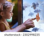 Father, aquarium and girl pointing at starfish for learning, curiosity or knowledge, bonding and nature. Dad, fishtank and kid watching marine animals swim underwater in oceanarium for education.