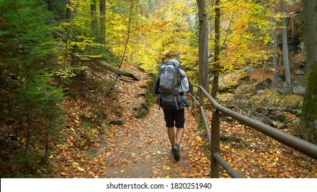 Father with baby in the backpack carrier walking in the autumn forest 