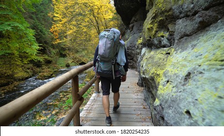 Father with baby in the backpack carrier walking in the autumn forest , Czech Switzerland, Czechia