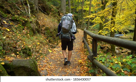 Father with baby in the backpack carrier walking in the autumn forest 