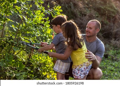 Father with beautiful kids pruning tree with big clippers in the garden.Family working in the garden with scissors to cut the branches.Little boy and girl with their happy father taking care of garden - Powered by Shutterstock