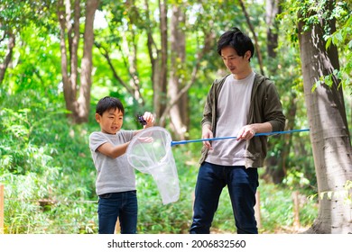 Father And Boy Catching Bugs