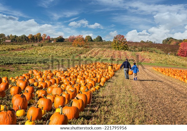 father and\
child picking out a pumpkin on a\
farm