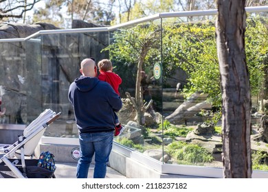 Father and child stand in front of an enclosure watching the animals behind the glass