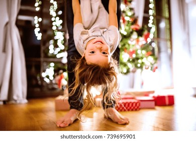 Father with daughter at Christmas tree holding her upside down.