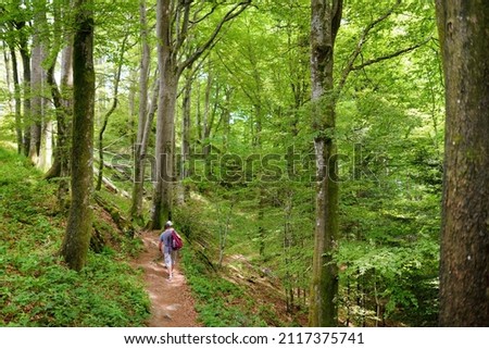 Father and daughter following a footpath around La Verna Sanctuary, Chiusi della Verna, in Casentino secular forest, one of the largest forest in Europe. Foreste Casentinesi, Tuscany, Italy.