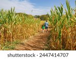 Father and daughter are hang out on a corn field. In summer or fall, the weather is nice, peole love to do outdoor activities as enjoy a farm life, do pumpkin patches, play hide and seek in corn mazes