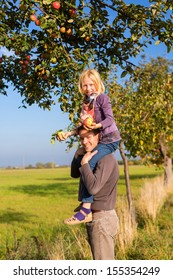 Father And Daughter Picking Apples From A Colorful Apple Tree In Autumn In Front Of Blue Sky