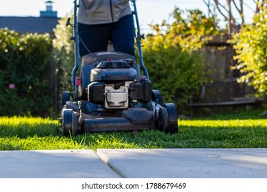 Father Doing Yardwork Around The House On A Sunny Afternoon In The Winter. San Mateo, California