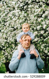 Father Giving His Son A Piggyback Ride Against The  Blossom Apple Tree.
Concept Of Friendly Family.