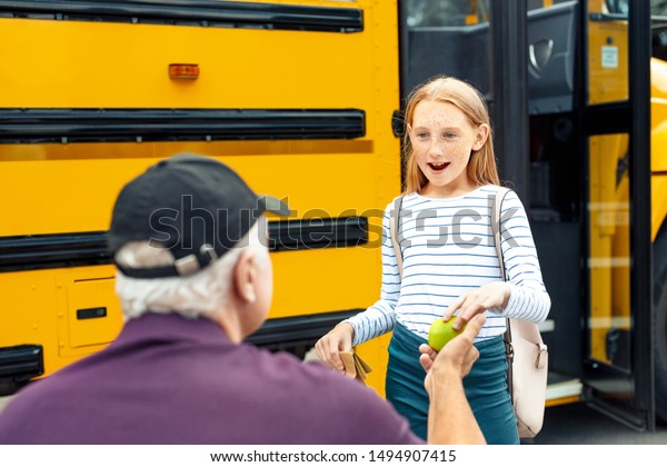 bus lunch bag