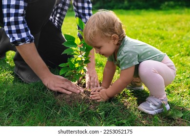 Father   his baby daughter planting tree together in garden  closeup