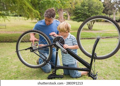 Father And His Son Fixing A Bike On A Sunny Day