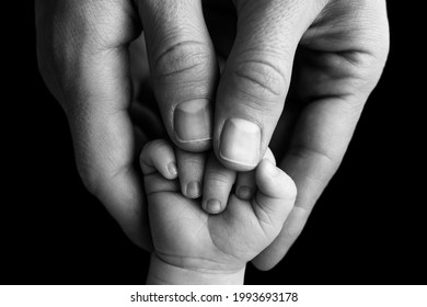 Father Holding Newborn Baby's Fingersnewborn . Hand Of A Newborn Baby. Hands Of Parents And Baby Closeup. Black Studio Background. Black And White Photo. 