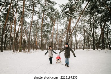 Father, Mother, And Child In Children's Sled Walk And Play In The Park. Happy Family With Kid Having Fun In Winter Forest. Mom, Dad, Daughter Running And Walking In Snow In Mountains. Winter Holidays.