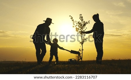 father mother child planting tree sunset. family silhouette. three people water plant plant soil sunset. father farmer with shovel digs roots plant into ground park. Agriculture. happy family life.