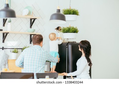 Father, mother , daughter and their cat enjoying morning time together, cooking in the kitchen, playing family lifestyle. Multitasking and husework love animal concept.