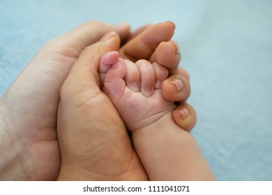 Father, Mother And New Born Baby Holding Hand Together To Support Each Other To Have Perfect Family.