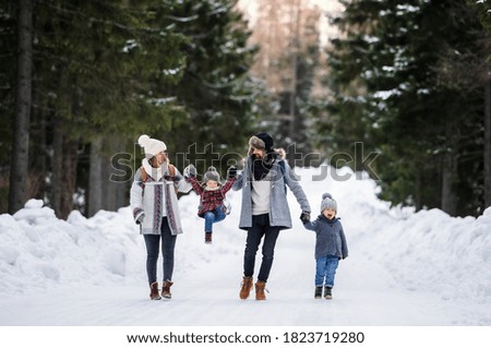 Father and mother with two small children in winter nature, walking in the snow.