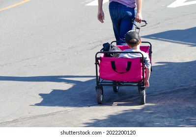 Father Pulling Son In A Wagon