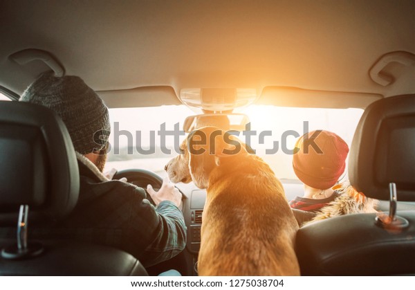 Father with son and beagle dog traveling\
together by auto rear seats wide angle\
shoot