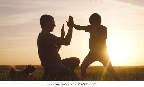 father and son boxing box silhouette at sunset. happy family in the park play sport concept. father and son training fight silhouette in the park. happy family together teamwork fun training