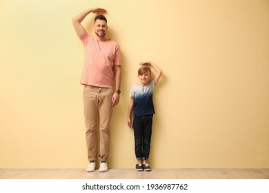 Father and son comparing their heights near beige wall indoors. Space for text - Powered by Shutterstock