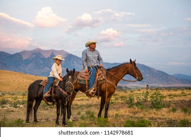 Father And Son Cowboys