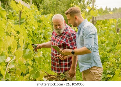 father and son farmers check their vineyard using a tablet. - Powered by Shutterstock