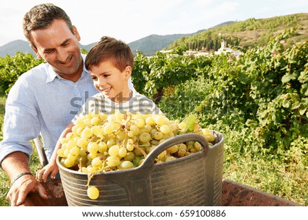 Similar – Image, Stock Photo Vineyards #2