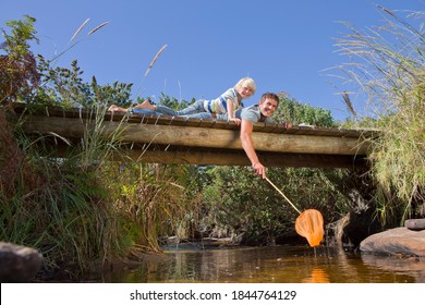 Father And Son Laying Over A Wooden Bridge Trying To Catch Fish From The Stream Below Using A Fish Net