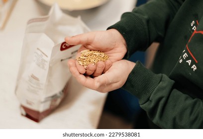 father and son make bird feeders - Shutterstock ID 2279538081
