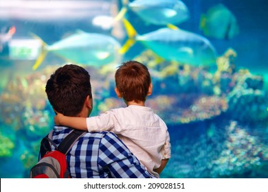 Father And Son In Oceanarium